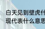 白天见到壁虎什么寓意 家里有壁虎出现代表什么意思