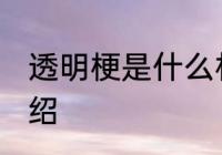 透明梗是什么材料做的 透明梗材料介绍