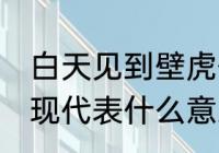 白天见到壁虎什么寓意 家里有壁虎出现代表什么意思