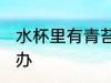 水杯里有青苔怎么办 水杯里有青苔咋办