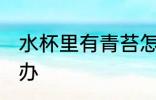 水杯里有青苔怎么办 水杯里有青苔咋办