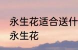 永生花适合送什么人 什么关系可以送永生花