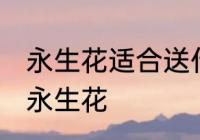 永生花适合送什么人 什么关系可以送永生花