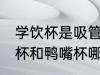 学饮杯是吸管的好还是鸭嘴的好 吸管杯和鸭嘴杯哪个适合宝宝