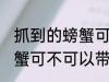 抓到的螃蟹可以带上飞机吗 抓到的螃蟹可不可以带上飞机