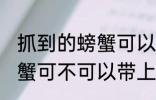 抓到的螃蟹可以带上飞机吗 抓到的螃蟹可不可以带上飞机