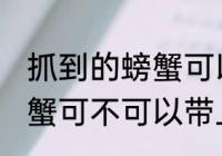 抓到的螃蟹可以带上飞机吗 抓到的螃蟹可不可以带上飞机