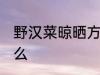 野汉菜晾晒方法 野汉菜晾晒方法是什么