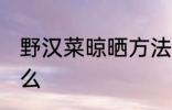 野汉菜晾晒方法 野汉菜晾晒方法是什么