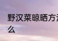 野汉菜晾晒方法 野汉菜晾晒方法是什么