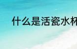 什么是活瓷水杯 活瓷水杯是什么
