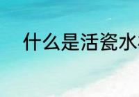什么是活瓷水杯 活瓷水杯是什么