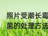 照片受潮长霉菌怎么办 照片受潮长霉菌的处理方法