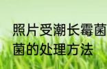 照片受潮长霉菌怎么办 照片受潮长霉菌的处理方法