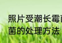 照片受潮长霉菌怎么办 照片受潮长霉菌的处理方法
