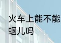火车上能不能带蝈蝈儿 火车上能带蝈蝈儿吗