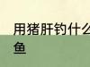 用猪肝钓什么鱼最好 猪肝可以钓什么鱼