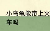 小乌龟能带上火车吗 乌龟可以带上火车吗