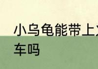 小乌龟能带上火车吗 乌龟可以带上火车吗
