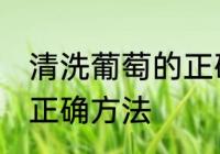 清洗葡萄的正确方法是什么 洗葡萄的正确方法