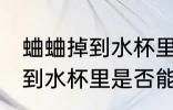 蛐蛐掉到水杯里水杯还能用吗 蛐蛐掉到水杯里是否能继续使用