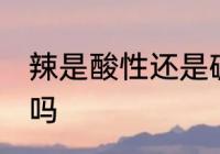 辣是酸性还是碱性食物 辣是酸性食物吗