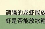 顽强的龙虾能放冰箱冷藏吗 顽强的龙虾是否能放冰箱冷藏