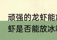 顽强的龙虾能放冰箱冷藏吗 顽强的龙虾是否能放冰箱冷藏