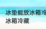 冰垫能放冰箱冷藏吗 冰垫是否可以放冰箱冷藏