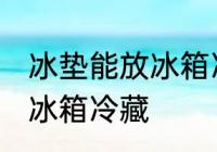 冰垫能放冰箱冷藏吗 冰垫是否可以放冰箱冷藏
