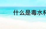 什么是毒水杯 毒水杯的解释