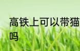 高铁上可以带猫咪吗 高铁上能带猫咪吗