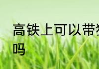 高铁上可以带猫咪吗 高铁上能带猫咪吗