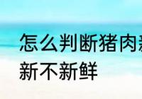 怎么判断猪肉新不新鲜 如何判断猪肉新不新鲜